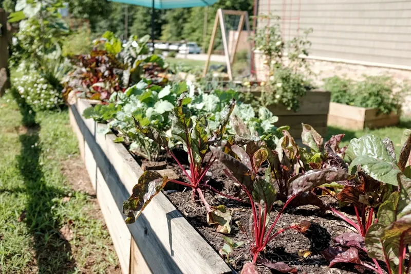 Gartenbegehungen 2026